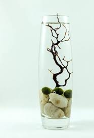 8 Prodigious Tricks Vases Pattern Greek Vases Modern Vases Pattern Silver Vases Babies Breath Copper Vases Vincent Van Gog Marimo Moss Ball Marimo Moss Marimo