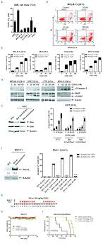Pdf drive is your search engine for pdf files. Antileukemic Activity And Mechanism Of Action Of The Novel Pi3k And Histone Deacetylase Dual Inhibitor Cudc 907 In Acute Myeloid Leukemia Haematologica