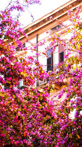Start your search now and free your phone. 51 Italy Aesthetic Phone Wallpapers Rebeah Bailey