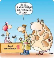 Las vacunas de pfizer y moderna podrían haber causado problemas cardíacos en más de. Pin En Un Poco De Humor P