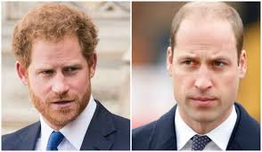 William e Harry guerra aperta a Buckingham Palace tra i due fratelli