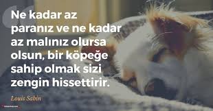 Kopek Ile Ilgili Sozler Kopek Ile Ilgili Guzel Sozler Sozumsoz 2020 Kopek Hayvan Guzel Soz