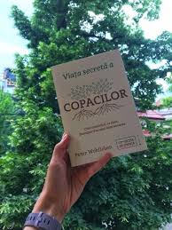 Viața Secretă A Copacilor Georgiana Ciofoaia