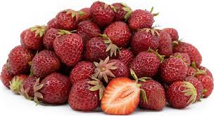 Image result for Wild Strawberry 1991 Tempo
