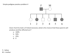 We did not find results for: Pedigree Analysis Through Genetic Hypothesis Testing Ppt Download