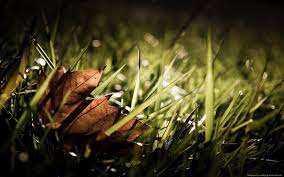Hd the flash wallpaper 1080p cool wallpapers hd. Top 10 Hd Wallpapers For Pc Group 71