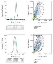 Maybe you would like to learn more about one of these? 56 Questions With Answers In Fluorescence Labeling Science Topic