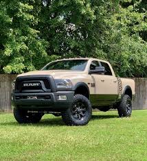 Image result for Power Tan 2020 Ram