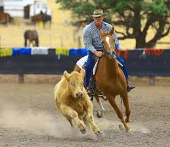 Mayanup Camp draft successful