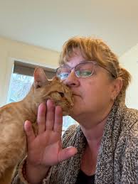 Feral cat becomes loving companion