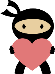 Image result for ninja