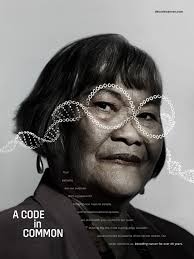 Work By Jennifer McGroarty