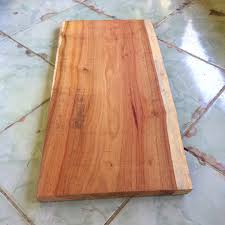 Image result for Centrolobium robustum