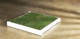 Spray with artificial grass cleaner 3. Top 5 Best Indoor Dog Potty Systems Daily Dog Stuff