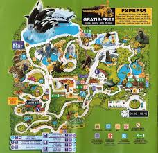 Loro asian smokehouse and bar dallas. The Loro Park Zoo In Puerto De La Cruz Tenerife