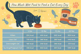 There are metabolic, immunologic and body composition the main objectives in the feeding an older cat should be to maintain health and optimum body weight, slow or prevent the development of chronic. How Much Wet Food To Feed A Cat Every Day
