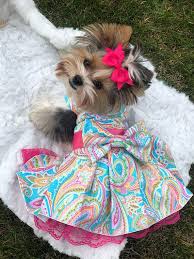 Harness Dress Size Small Dog Harness Dress Cute Dog Clothes Dog Clothes Patterns