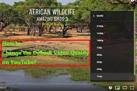 To change the video quality, encoder, resolution, frame rate, bitrate, click on the gear icon to configure. How Do I Change The Default Video Quality On Youtube