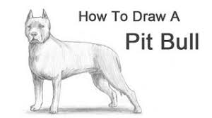 Don't carry your dogs poop, clip it! How To Draw A Dog Pit Bull