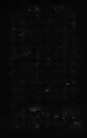 Image result for Bersama yangambiensis