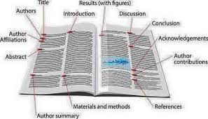 Maybe you would like to learn more about one of these? Ù…ÙƒÙˆÙ†Ø§Øª Ø§Ù„ÙˆØ±Ù‚Ø© Ø§Ù„Ø¨Ø­Ø«ÙŠØ©
