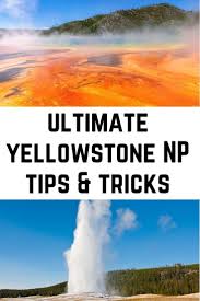 Best Yellowstone Tips And Tricks For Planning A Trip To Yellowstone Wandermust Family In 2020 Visit Yellowstone National Parks Trip Yellowstone Trip
