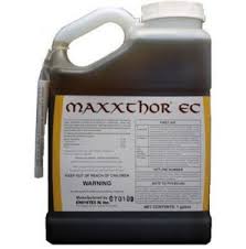 If you r looking for a spray that doesn't harm plants use house ingredients like: Chigger Control And Treatments For The Yard Home And Garden