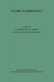 Image result for Pseudocalyx