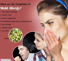 What Is Mold Allergy Causes Symptoms Treatment