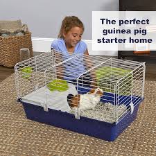 Rather, we offer enhancements and upgrades to that style of cage so that you and your guinea pigs can make the best of it. Midwest Guinea Pig Cage Amazon