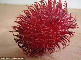 We did not find results for: Lichas Or Rambutans Pink Spiny Fruit