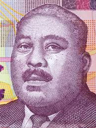 Portret Van Butler in Witte Handschoenen En Welkomstgebaar Stock Foto