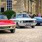 LDC KENT AND SUSSEX MONTHLY MEET event image