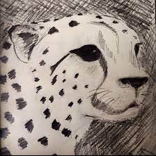 They exist in forests, national parks or public land. Pencil Sketches Of East African Animals Back To The Drawing Board Travels With My Art