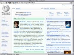 Se trata de una versión. Netsurf Web Browser