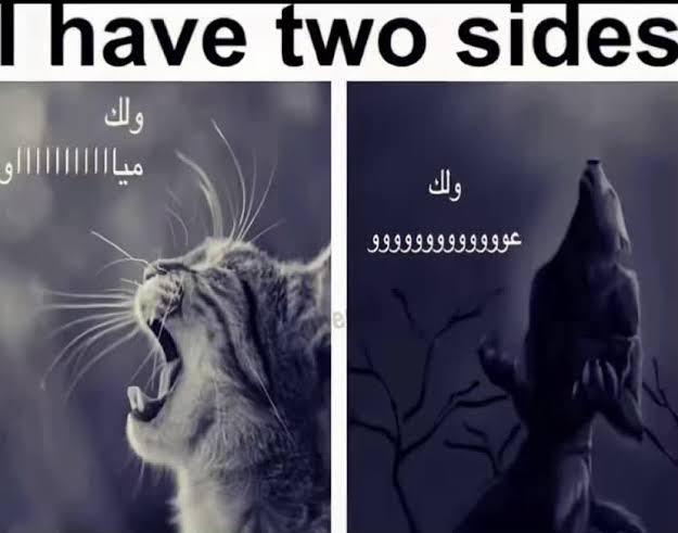 ملصقات ولك عووو: رياكشن ممتع ومشوق | TikTok
