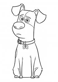 The secret life of pets coloring pages 29. Max Coloring Pages The Secret Life Of Pets Coloring Pages Colorings Cc