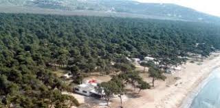 Check spelling or type a new query. E8nikos Drymos Soynioy Archives Focus Media Group Tv Radio News