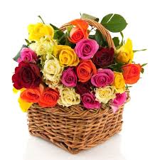 We did not find results for: Send Flowers To Italy By Italian Florist Same Day Delivery