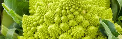 What'sup with sexual suggestive fruit shapes #freshfruitsvegetablesunusual, #freshfruits ndvegetables ecipes #fresh. Top 10 Unusual Vegetables Lovethegarden