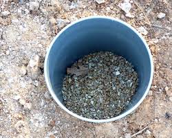 A drill to make holes in the side of the can. Doggie Septic System Belle Of Dirt