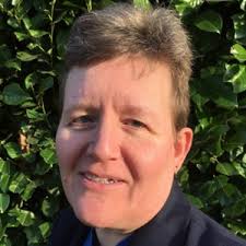 Slough local election: The 3 candidates in Farnham