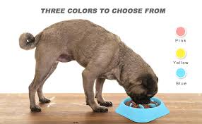 Mit unseren smoothie bowls startest du energiegeladen und lecker in den tag. Amazon Com Noyal Dog Slow Feeder Bowl Non Slip Puzzle Bowl Anti Gulping Pet Slower Food Feeding Dishes Interactive Bloat Stop Dog Bowls Durable Preventing Choking Healthy Design Dogs Bowl Pet