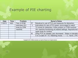 Documenting And Reporting Ppt Download