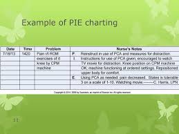 documenting and reporting ppt download