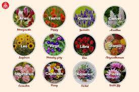 Which Flower Suits Your Personality As Per Your Zodiac Sign Zodiac Flowers Zodiac Signs Cancer Zodiac Signs Flowers