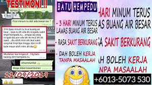 Pundi hempedu adalah satu organ yang terletak berdekatan dengan hati. U Vera Untuk Rawatan Batu Karang Posts Facebook