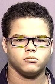 Teen is arrested after allegedly biting cop