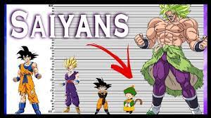 See full list on dragonball.fandom.com Dragon Ball Height Comparison The Saiyans Youtube