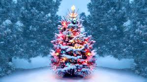 The Father Of Electric Christmas Tree Lights History